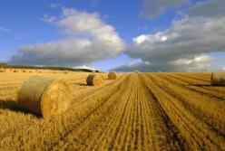 В принятом виде закон о рынке земли – никакая не «зрада»