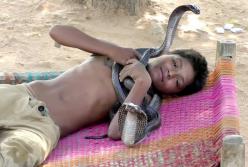Современный Маугли: 7-летний мальчик спит, купается и играет со смертельно опасными змеями прямо в джунглях (видео)
