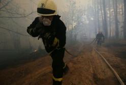 С поджогами необходимо бороться штрафами и уголовной ответственностью