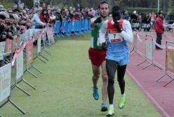 Оставайтесь людьми: упасть до уровня животного вы всегда успеете