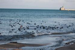 Побег от карантина: где украинцы смогут отдохнуть в этом году