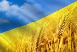 Как будут жить украинцы в 2020 году. Прогноз МВФ