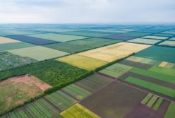 Рынок земли открывается: что приняла Рада и кто сможет покупать участки