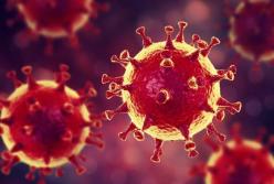 Covid-статистика: почему ей нельзя доверять