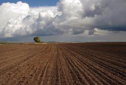 ​Кому хорошо от «200 гектар в одни руки»?