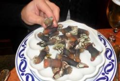 Пальцы Люцифера — новый вид смертоносных моллюсков по баснословной цене