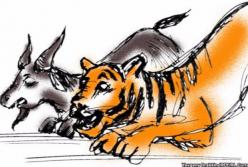 ​Тигр Амур, козел Тимур и президент Путин