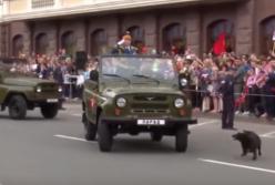 Приключения Хунтика в Донецке. Комедия