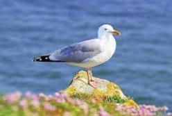 Россия убивает своих людей такими способами, которые даже невозможно придумать