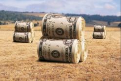 Зачем Украине снимать мораторий на продажу сельскохозяйственной земли