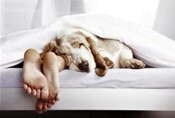 Ламкі нігті, роздутий живіт і плями на шкірі: ШІ показав, що буде, якщо не спати 7 годин на добу (фото)