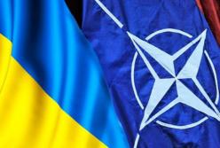 Украина - НАТО: всему свое время