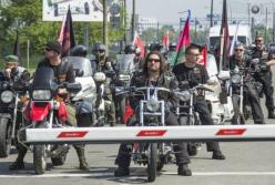 Путиноиды насколько тупы, настолько же и трусливы