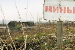Новости из зоны: Минные пашни и контрабандные шашни