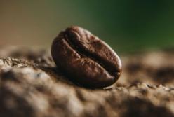 Як кава впливає на серце і тривалість життя: аналіз масштабних досліджень