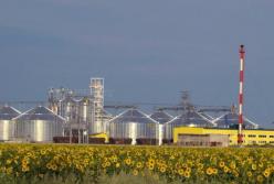 Главный экспорт Украины