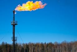 Все вокруг народное. Все вокруг ничье