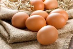 Яйця: чому їх варто їсти і чого слід остерігатися
