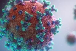 Covid-19: пандемия завершается