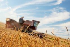 Украине предлагают стать аграрной сверхдержавой