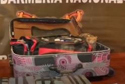 Новый символ России