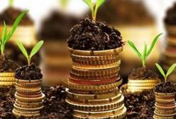 Открытие рынка земли накачает экономику Украины деньгами