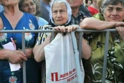 Польша тратит в 3 раза больше на бездомных кошек и собак, чем Украина на пенсионеров