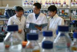 Китай создал научный центр по внедрению разработок украинских ученых
