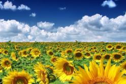 На що схожа Україна у 2030 році?