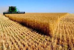 Беда с земельной реформой