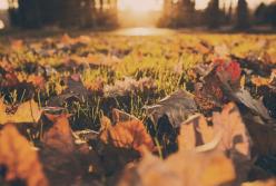 Зимы не будет: синоптики ошеломили теплым прогнозом