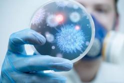 Действовать методом кнута в период коронакризиса недопустимо