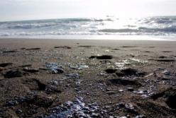 Новости Крымнаша: Смрад фюрера