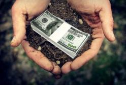 Что Украина теряет из-за отсутствия рынка земли