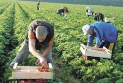 Чому Європа скоро забере ще більше працівників з України