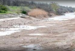 Засуха в Крыму еще не сказала свое последнее слово