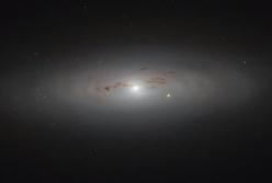 Галактики без звездных спиралей 