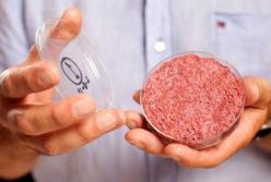 Филе из перьев и 3D-стейк: 10 разработок, которые спасут животный мир