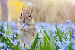 Погода на завтра: на западе дожди, в остальных регионах облачно