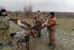 В Одесской области полицейские-браконьеры убили птицу из Красной книги (фото) 