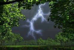 Прогноз погоды на 17 июня: по всей Украине жара и грозы