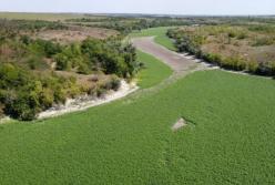 Каховське водосховище по-людожерськи зацікавило росіян