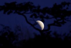 Лунный календарь на 22 ноября для каждого знака зодиака 