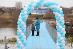 В Сети высмеяли пластиковый мост в России за 30 тысяч долларов