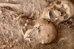 Объятия скелетов. В Израиле нашли могилу пары, которую похоронили вместе 3000 лет назад