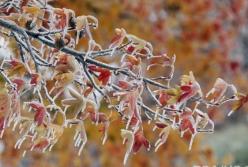 Прогноз погоды на 20 ноября: в Украине похолодает (карта) 