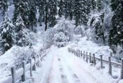 Прогноз погоды на 15 января: почти по всей Украине снегопады и морозы