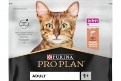 Как выбрать лучший корм для кота: сухой, влажный или натуральный?