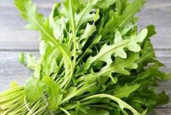 Диетологи рассказали, чем полезна руккола
