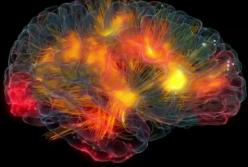 Ученые назвали продукты, которые сделают вас умнее